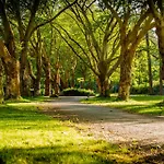 Cascine Park Florence Apartament
